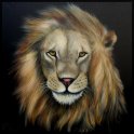 Löwe 1; Acryl auf Leinwand;
120 x 120 cm;
verkauft